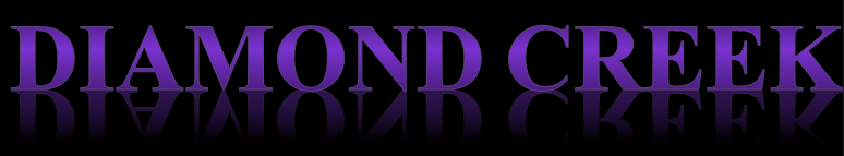 Diamond Creek Business Credit Diamond Creek Business Credit